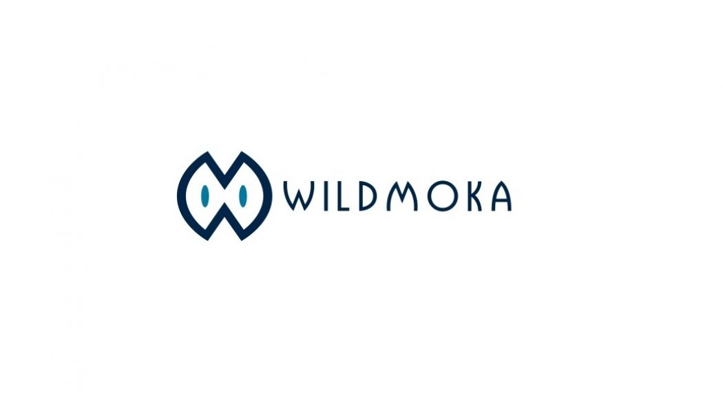 wildmoka automated content creation