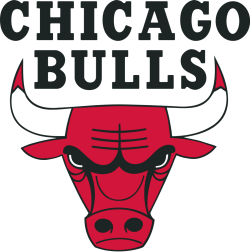 Chicago Bulls Basketball Shorts, Salesforce Commerce Cloud